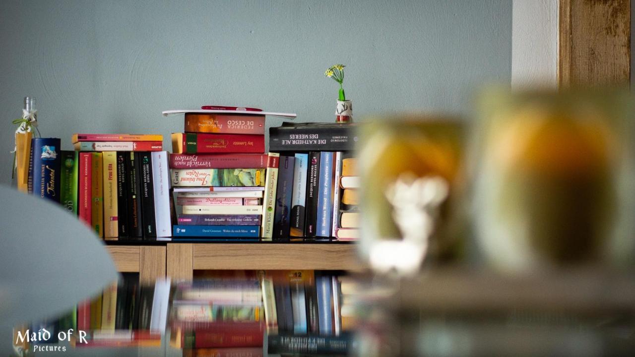 Hof Vierzehnender Im Hohen Venn - 70Qm Fachwerk-Studio - Grosses Wohn-Schlafzimmer Mit Dachterrasse Und Kaminofen - Separate Kueche - Perfekt Fuer Paare - Monschau - Eifel - Hunde Willkommen - Islandpferde Eksteriør billede