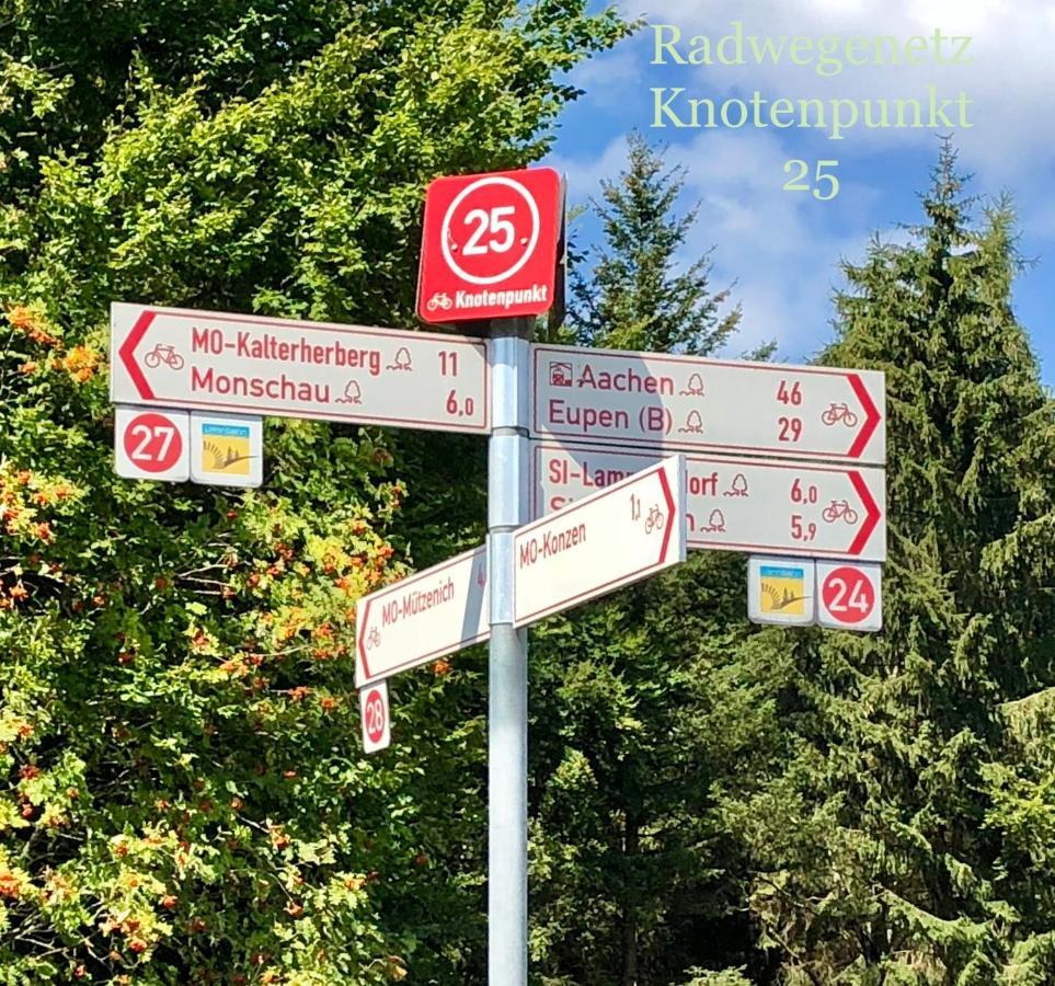 Hof Vierzehnender Im Hohen Venn - 70Qm Fachwerk-Studio - Grosses Wohn-Schlafzimmer Mit Dachterrasse Und Kaminofen - Separate Kueche - Perfekt Fuer Paare - Monschau - Eifel - Hunde Willkommen - Islandpferde Eksteriør billede