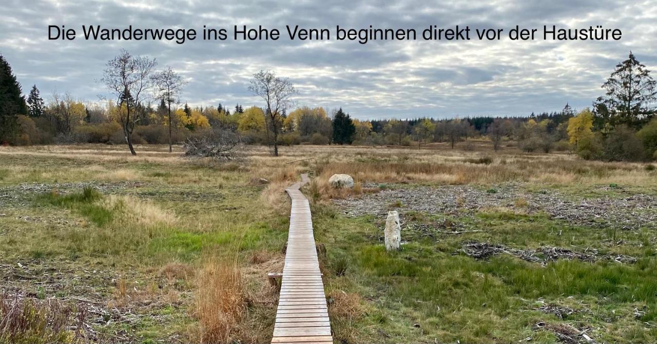 Hof Vierzehnender Im Hohen Venn - 70Qm Fachwerk-Studio - Grosses Wohn-Schlafzimmer Mit Dachterrasse Und Kaminofen - Separate Kueche - Perfekt Fuer Paare - Monschau - Eifel - Hunde Willkommen - Islandpferde Eksteriør billede