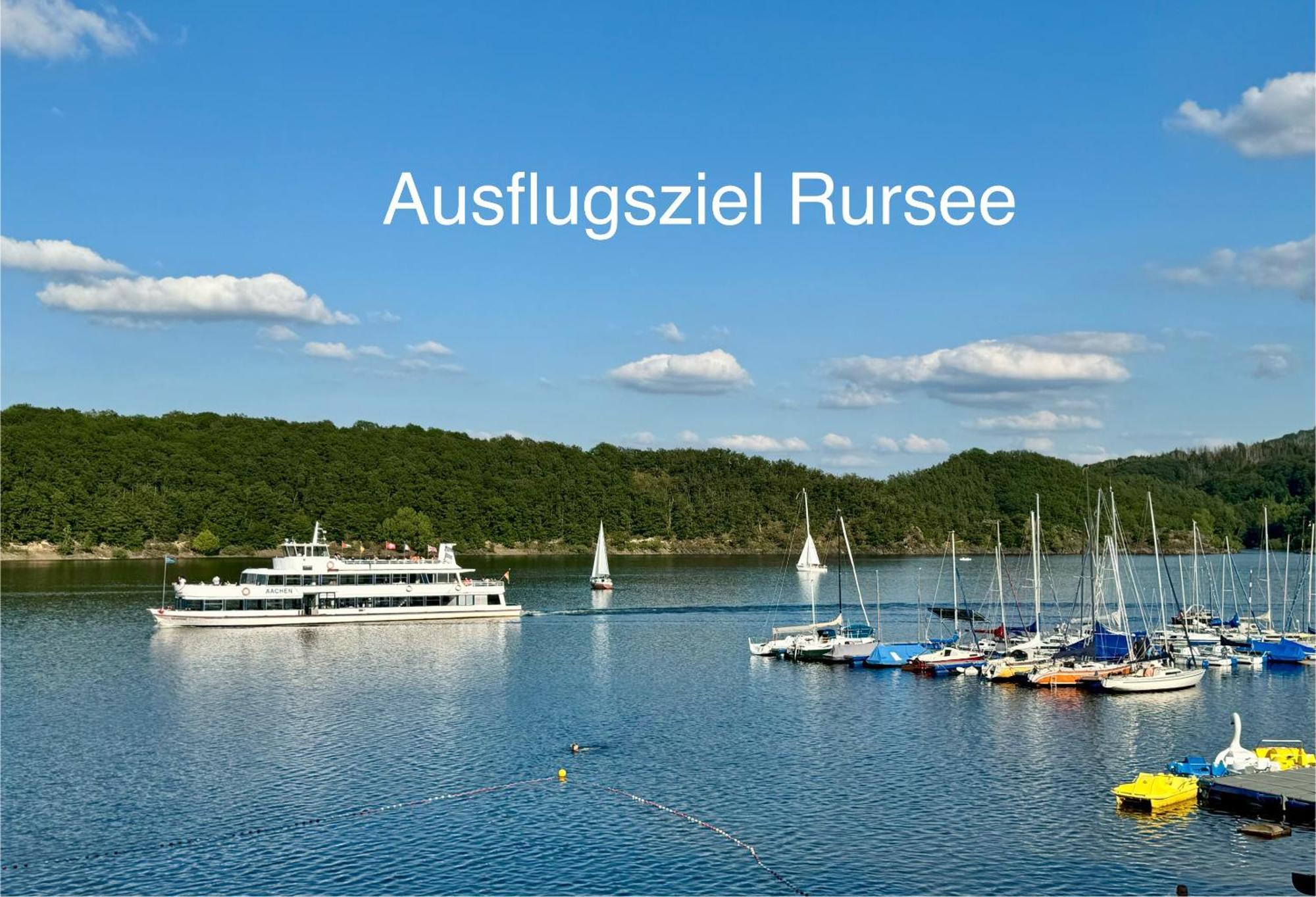 Hof Vierzehnender Im Hohen Venn - 70Qm Fachwerk-Studio - Grosses Wohn-Schlafzimmer Mit Dachterrasse Und Kaminofen - Separate Kueche - Perfekt Fuer Paare - Monschau - Eifel - Hunde Willkommen - Islandpferde Eksteriør billede