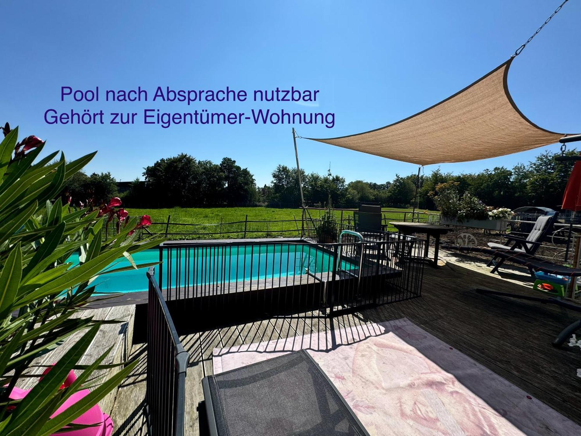 Hof Vierzehnender Im Hohen Venn - 70Qm Fachwerk-Studio - Grosses Wohn-Schlafzimmer Mit Dachterrasse Und Kaminofen - Separate Kueche - Perfekt Fuer Paare - Monschau - Eifel - Hunde Willkommen - Islandpferde Eksteriør billede
