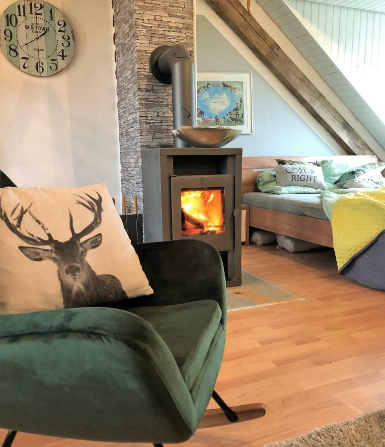 Hof Vierzehnender Im Hohen Venn - 70Qm Fachwerk-Studio - Grosses Wohn-Schlafzimmer Mit Dachterrasse Und Kaminofen - Separate Kueche - Perfekt Fuer Paare - Monschau - Eifel - Hunde Willkommen - Islandpferde Eksteriør billede